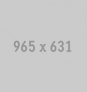 965x631