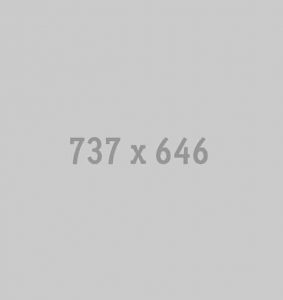737x646